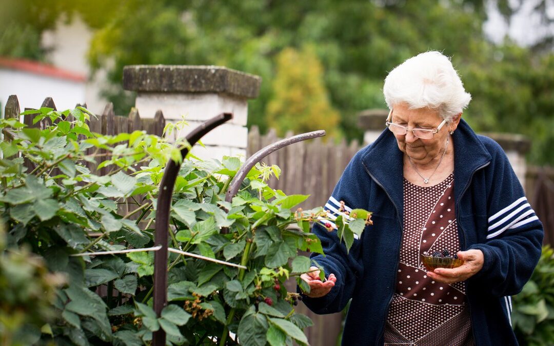 Keeping our Elders Strong and Connected