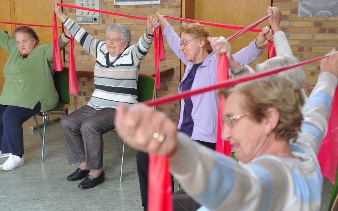 ENJOY Seniors Exercise Parks open in Ballarat and Ivanhoe